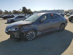 2015 Honda Accord Touring Hybrid for sale in Martinez, CA