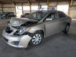 Toyota Corolla salvage cars for sale: 2009 Toyota Corolla Base