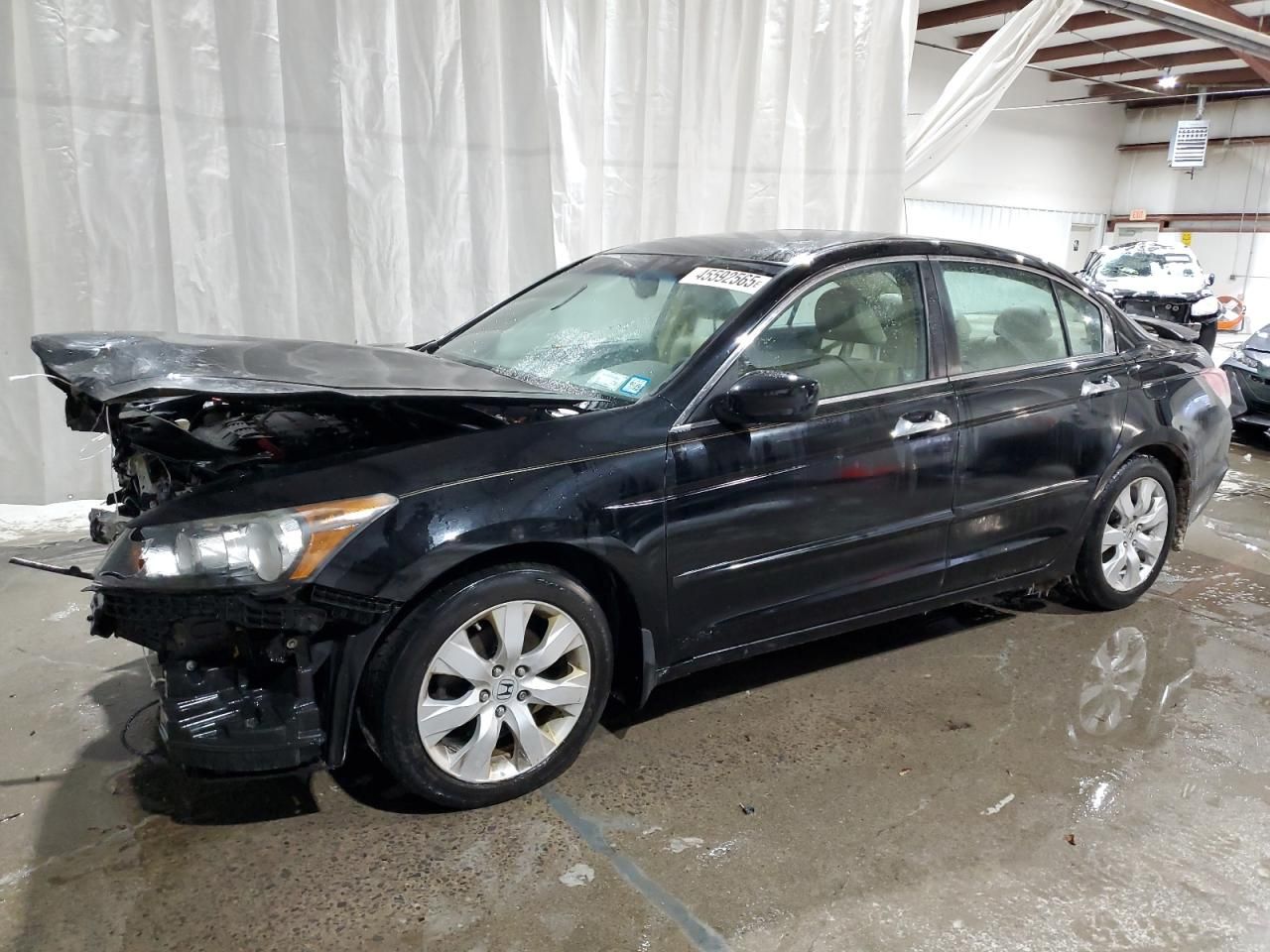 2009 Honda Accord exl