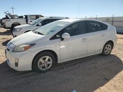 Toyota Prius salvage cars for sale: 2010 Toyota Prius