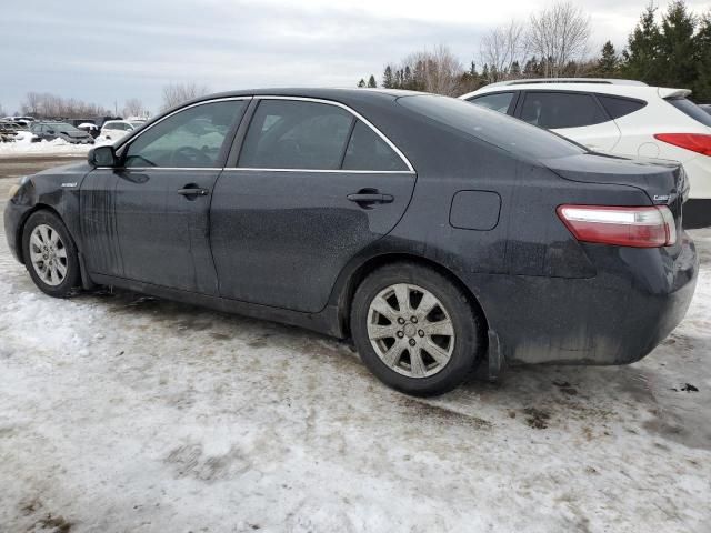 2009 Toyota Camry Hybrid