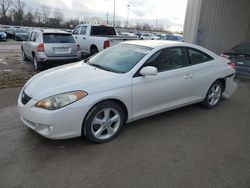 Toyota Camry Sola salvage cars for sale: 2006 Toyota Camry Solara SE