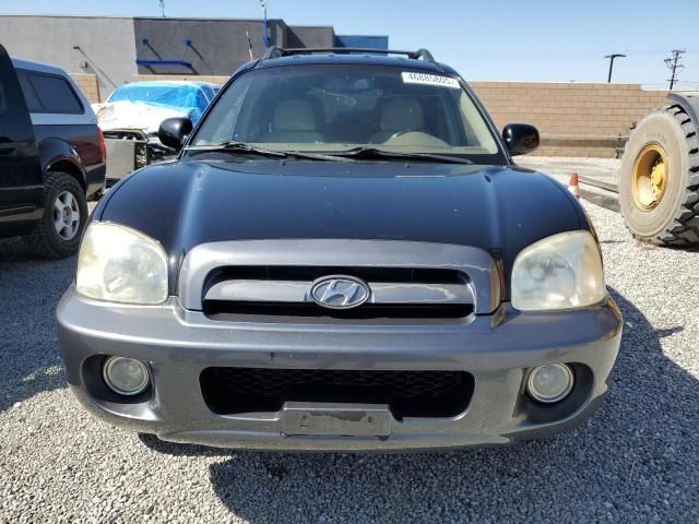 2006 Hyundai Santa FE GLS