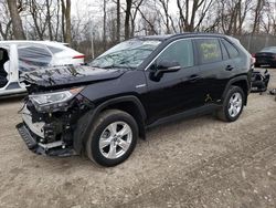 Salvage cars for sale from Copart Cicero, IN: 2021 Toyota Rav4 XLE