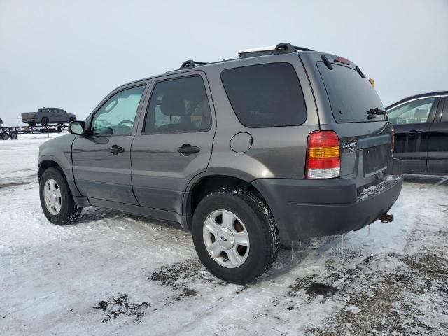 2003 Ford Escape XLT