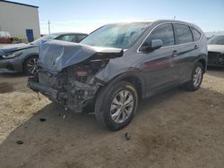 Honda crv Vehiculos salvage en venta: 2013 Honda CR-V EX