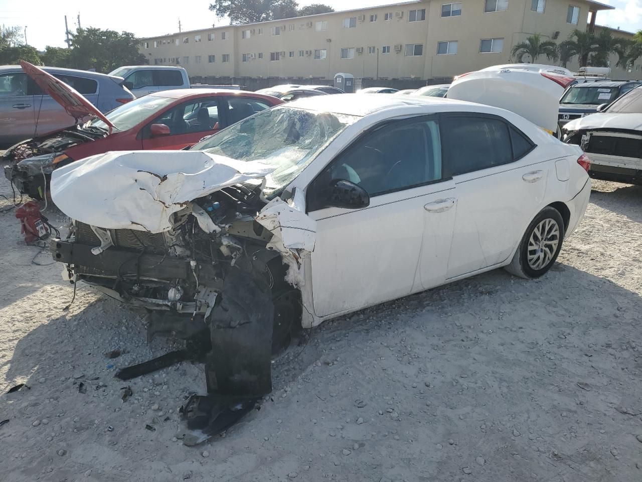 2019 Toyota Corolla l