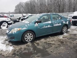 Toyota Corolla salvage cars for sale: 2009 Toyota Corolla Base