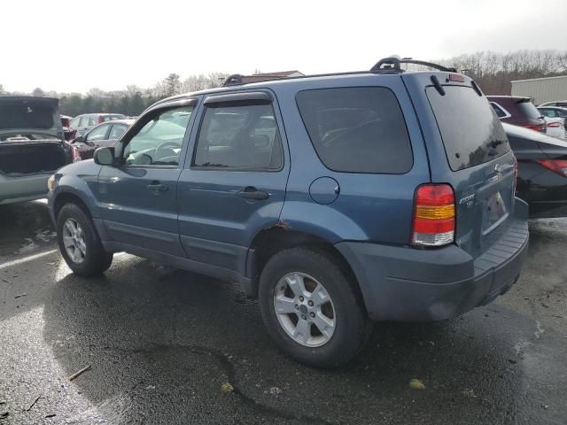 2006 Ford Escape XLT