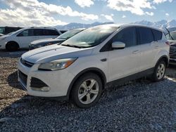 Salvage cars for sale from Copart Magna, UT: 2016 Ford Escape SE