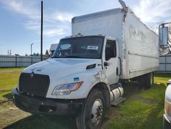 International mv607 salvage cars for sale: 2024 International MV607