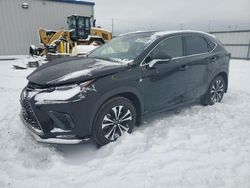 Lexus nx 300 f s salvage cars for sale: 2020 Lexus NX 300 F Sport