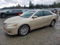 Toyota salvage cars for sale: 2010 Toyota Camry Base