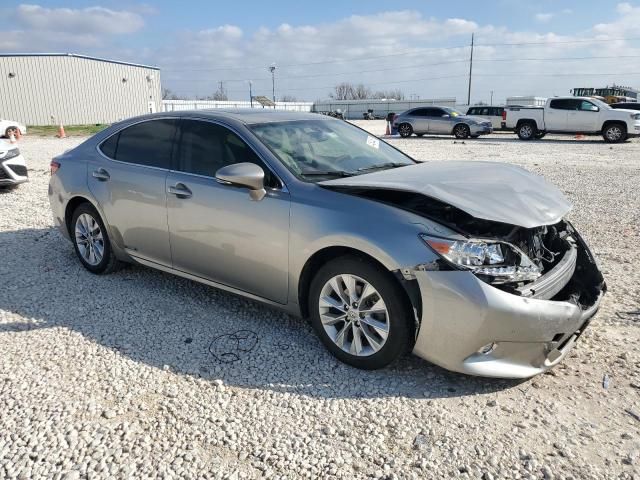 2015 Lexus ES 300H