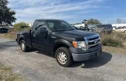 2013 Ford F150 for sale in Apopka, FL