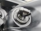 2024 Kawasaki EX650 P