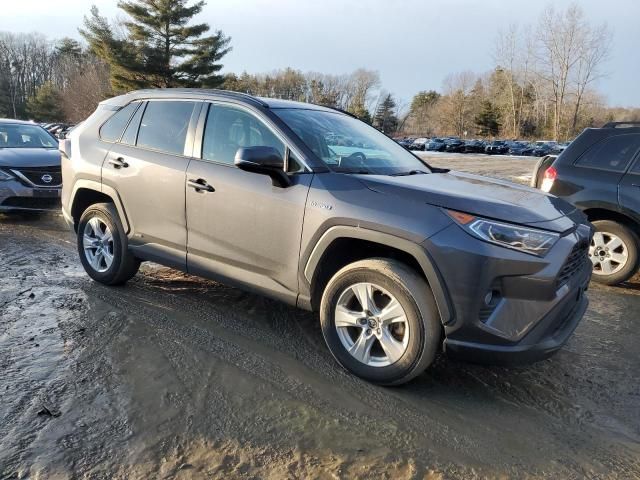 2019 Toyota Rav4 XLE