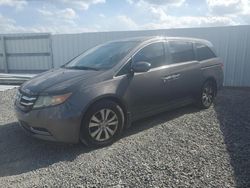 Honda Odyssey exl salvage cars for sale: 2016 Honda Odyssey EXL