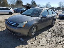 Ford Focus sel salvage cars for sale: 2010 Ford Focus SEL