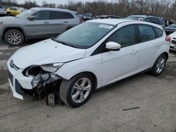 Ford Focus salvage cars for sale: 2013 Ford Focus se