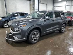 2022 Hyundai Santa FE SE for sale in Ham Lake, MN