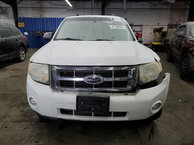 2008 Ford Escape XLT