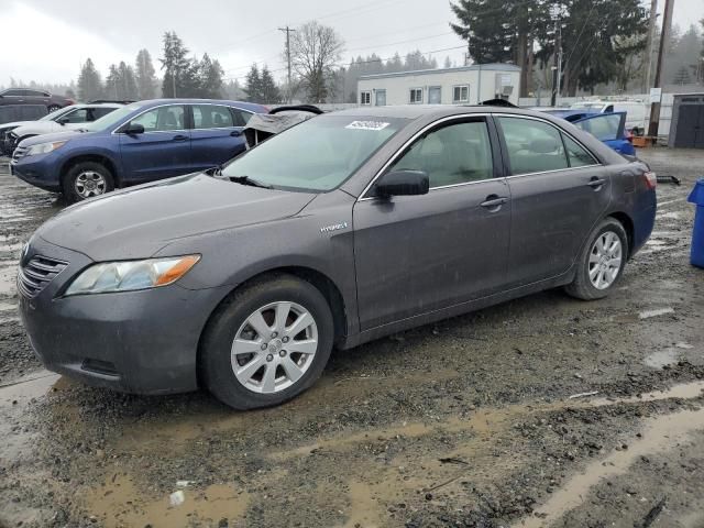 2008 Toyota Camry Hybrid