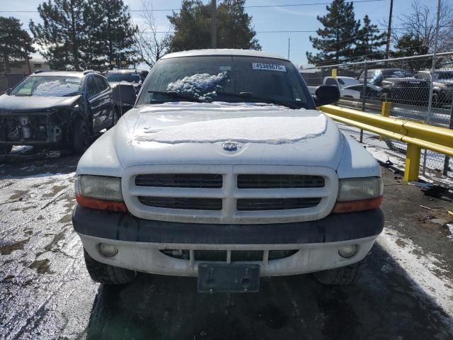 2002 Dodge Dakota Quad Sport