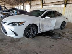 Lexus salvage cars for sale: 2025 Lexus ES 350 Base