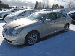 Lexus salvage cars for sale: 2011 Lexus ES 350