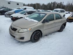 Toyota salvage cars for sale: 2010 Toyota Corolla Base