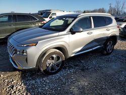 Hyundai Santa fe salvage cars for sale: 2022 Hyundai Santa FE SEL