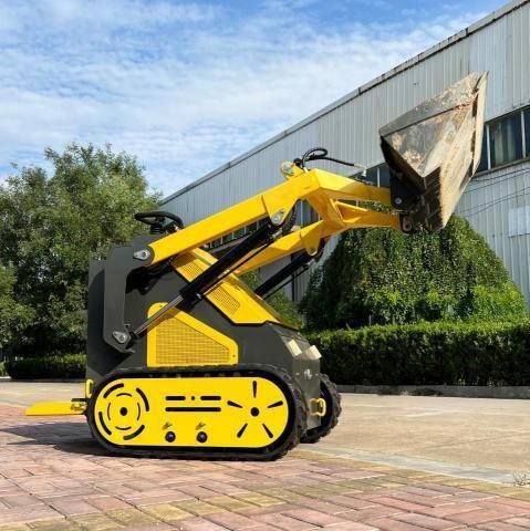 2025 Skidoo 2025 Other                       Skid Steer