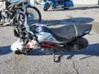 2022 Bene TNT 135