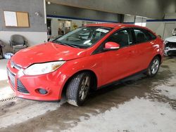 Ford Focus salvage cars for sale: 2013 Ford Focus SE