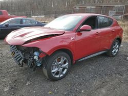 Dodge Vehiculos salvage en venta: 2024 Dodge Hornet R/T