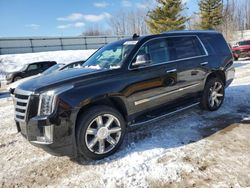 Salvage cars for sale from Copart Davison, MI: 2016 Cadillac Escalade Luxury