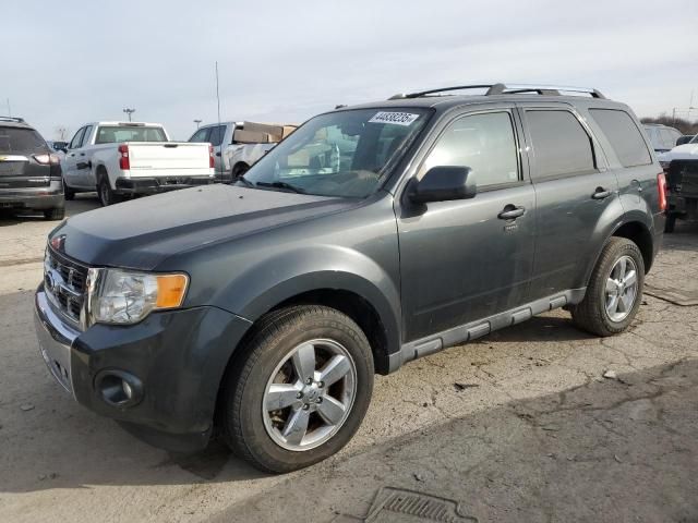 2009 Ford Escape Limited