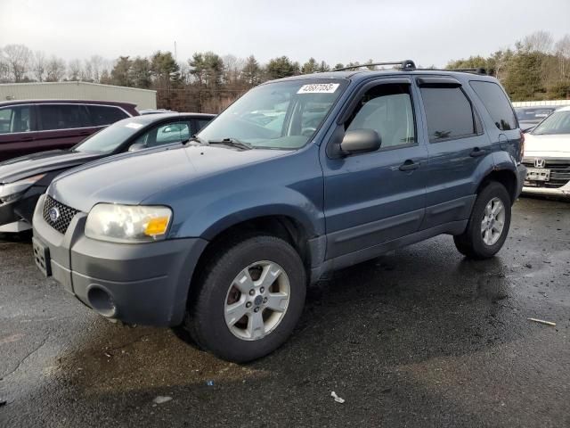 2006 Ford Escape XLT