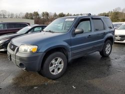 Ford Escape salvage cars for sale: 2006 Ford Escape XLT