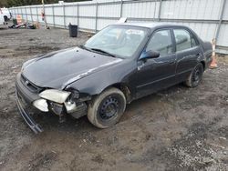 Toyota Corolla salvage cars for sale: 1999 Toyota Corolla VE