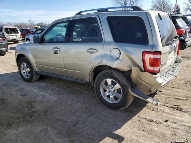 2011 Ford Escape Limited