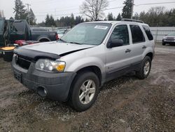 Ford Escape salvage cars for sale: 2007 Ford Escape HEV