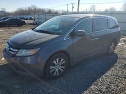 Honda salvage cars for sale: 2014 Honda Odyssey EX