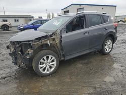 Toyota salvage cars for sale: 2013 Toyota Rav4 Limited