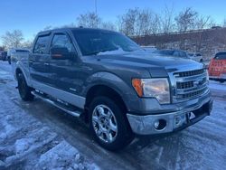 Ford f-150 salvage cars for sale: 2013 Ford F150 Supercrew