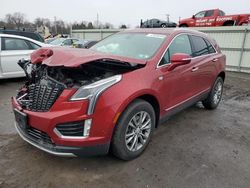 Cadillac xt5 Vehiculos salvage en venta: 2021 Cadillac XT5 Premium Luxury