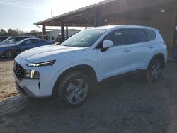 Hyundai Santa fe salvage cars for sale: 2023 Hyundai Santa FE SE