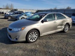 Toyota salvage cars for sale: 2013 Toyota Camry Hybrid