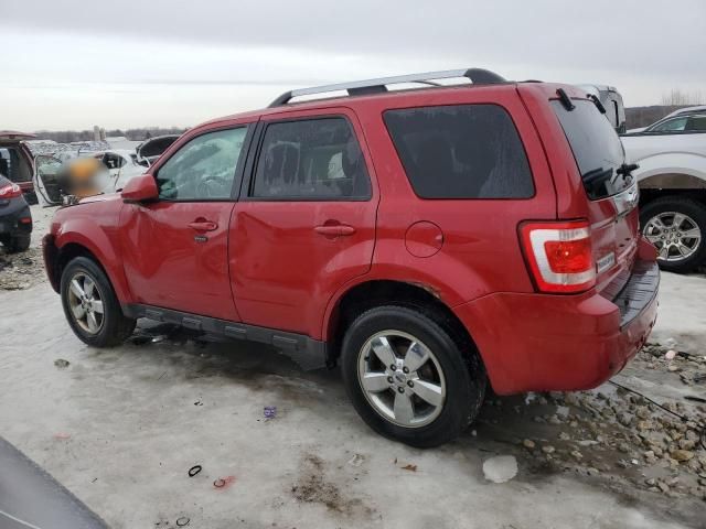 2010 Ford Escape Limited